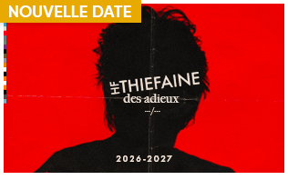 Hubert Felix Thiefaine